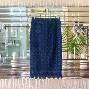 Navy embroidered skirt